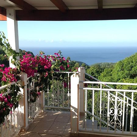 Villa Des Iles Basse-Terre Exterior photo