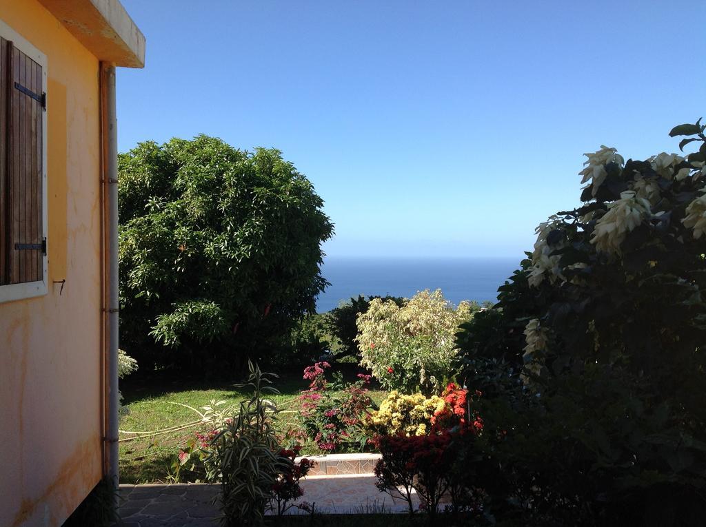 Villa Des Iles Basse-Terre Exterior photo