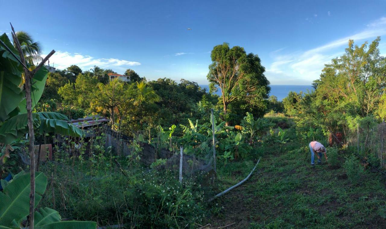 Villa Des Iles Basse-Terre Exterior photo